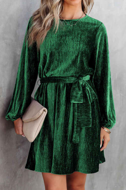 Green Crinkle Velvet Dress WS RTS